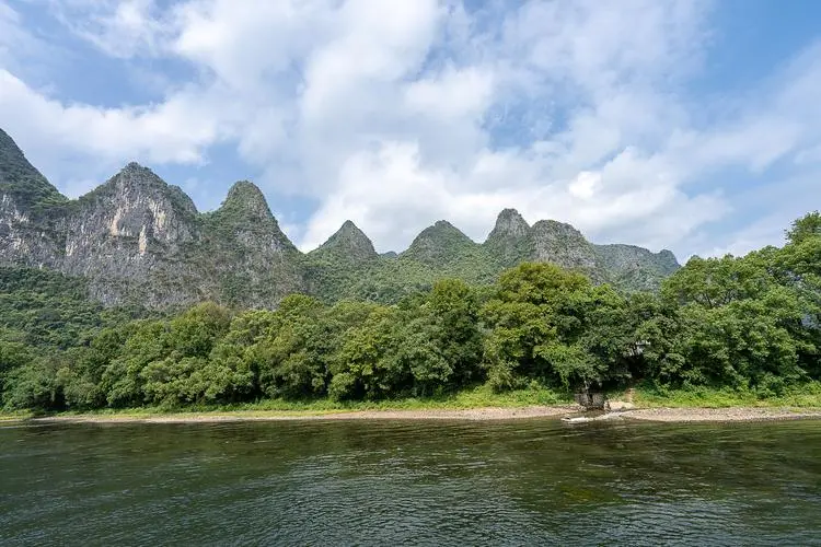 红色垃圾桶装什么垃圾
